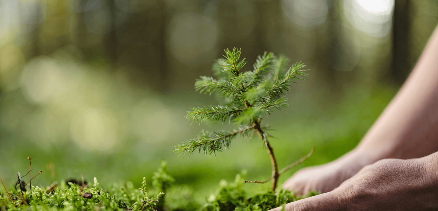 Sürdürülebilir ve Kapsayıcı Hizmetler Sunuyoruz